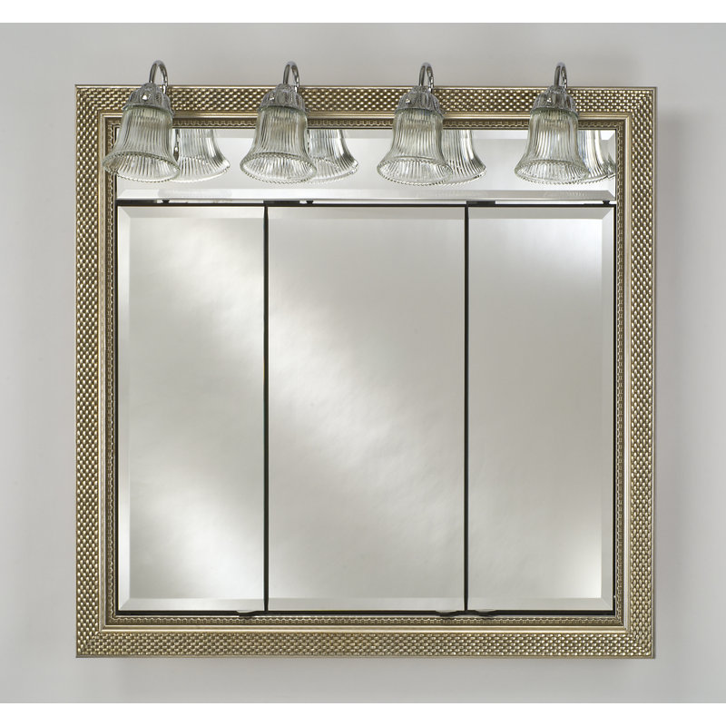 Charlton Home Holdrege Recessed Framed Medicine with Lighting